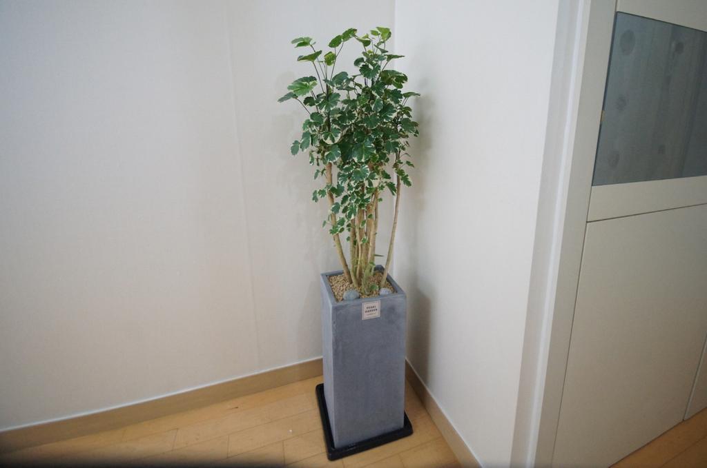 סיאול Enjoy Budget Apartment In Gangnam 2 מראה חיצוני תמונה